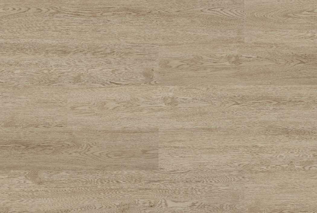 Baltic Oak