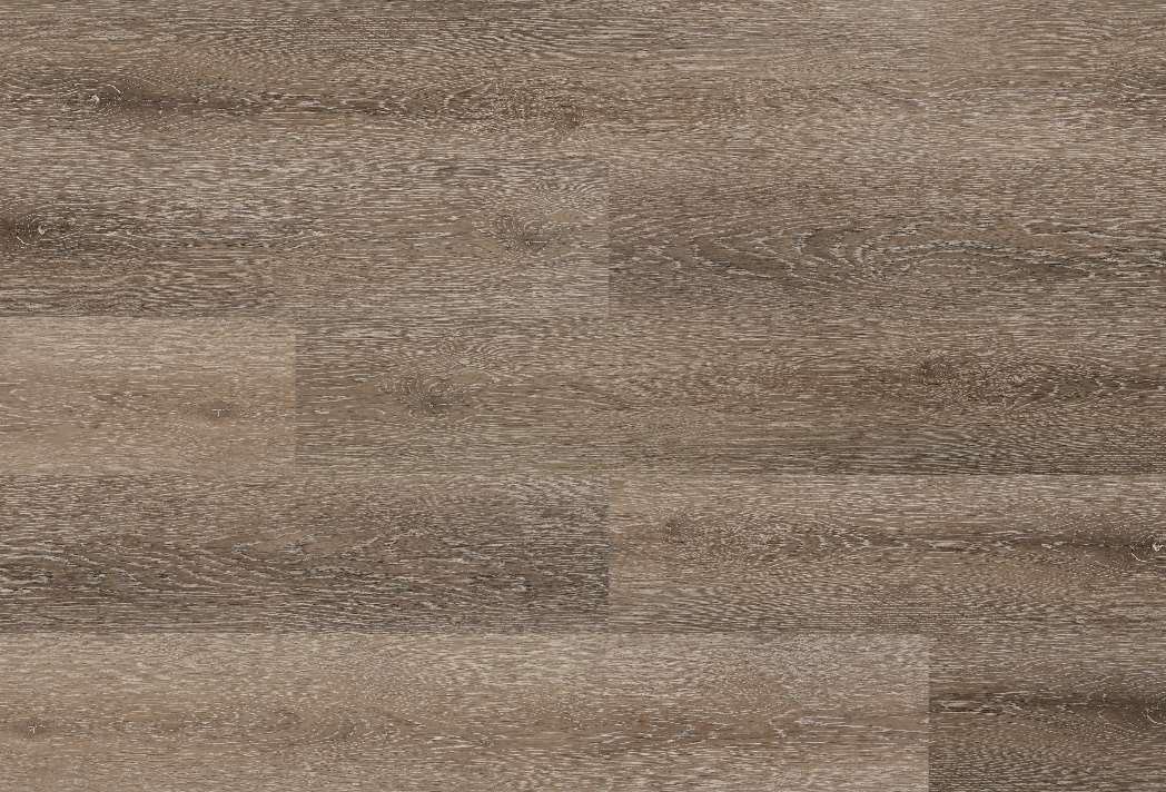 Omni Oak