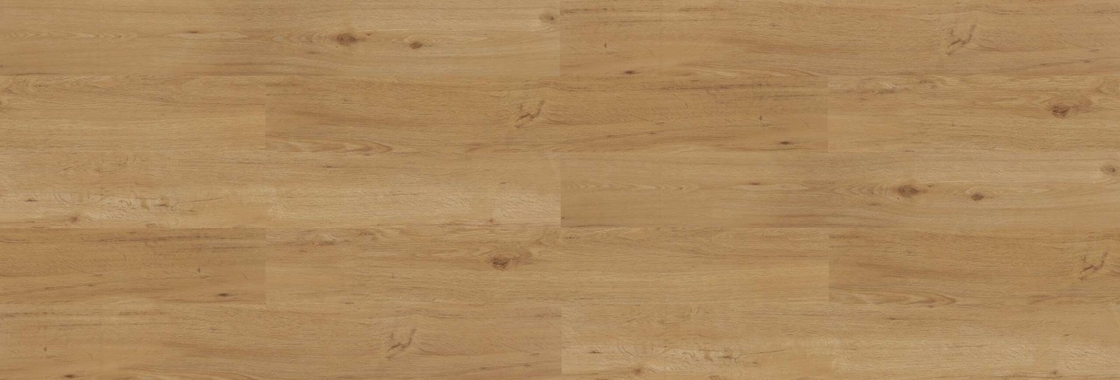 Chocolate Oak