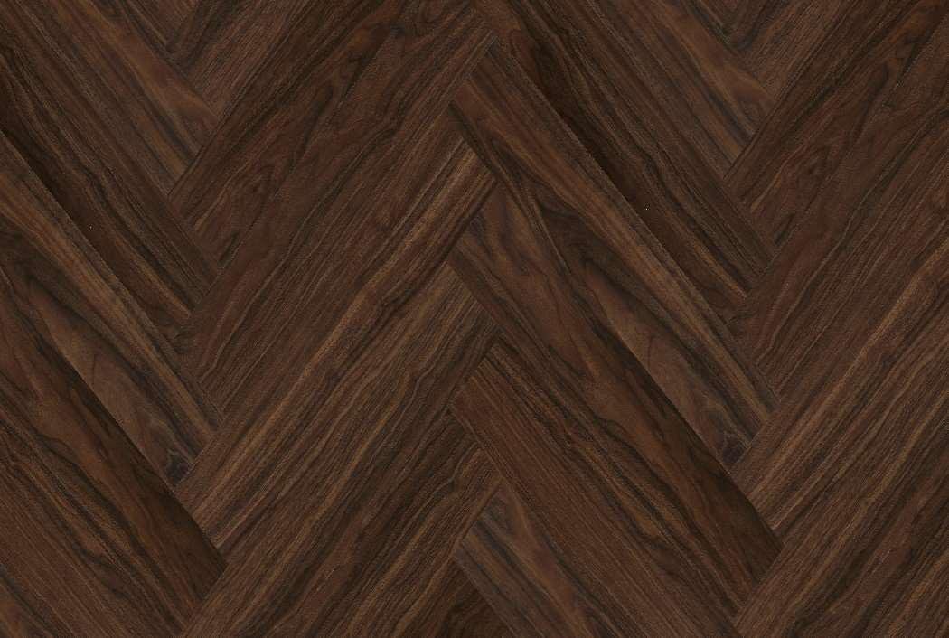 Asian Walnut