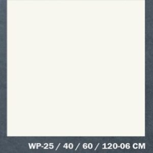 WP-25/40/60/120-06 CM — WPC Wall Panel