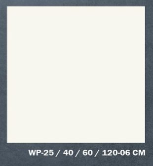WP-25/40/60/120-06 CM — WPC Wall Panel